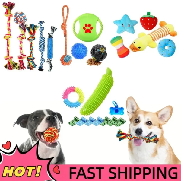 25Pcs  Chew Toys