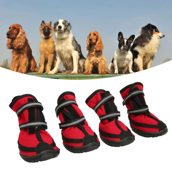 Dog Boots